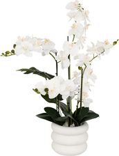 Atmosphera sztuczny storczyk biały 80 cm 206610 w doniczce