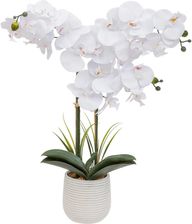 Atmosphera Sztuczny Storczyk W Doniczce Riva 60cm