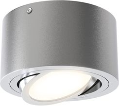 Briloner Spot sufitowy LED Tube 7121-014 srebrny