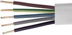 Elpar Przewód Instalacyjny Ydyp 5X2,5 Żo 450/750V (YDYP5X25)