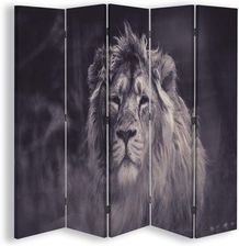 Feeby Parawan Pokojowy Dumny Lew 180X170 Cm
