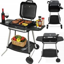 Grill elektryczny Zilan ZLN2501