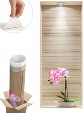 Naklejka ścienna fototapeta storczyk 3D 60x24 cm 4070621883487