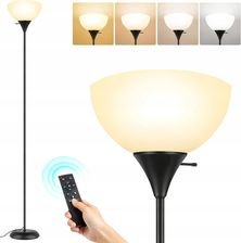 Outon Lampa Podłogowa Do Salonu Ściemnialny Reflektor Led 9 W 1000Lm Czarny (B0C48X1W7S)