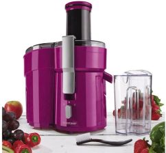 SILVERCREST  SFE 450 C1 450 W 4019641048919