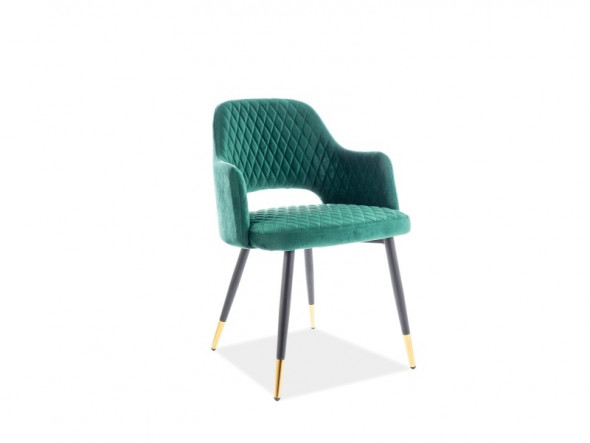 BETTSO KRZESŁO FRANCO VELVET ZIELONY / NOGI CZARNO - ZŁOTE Bluvel 78