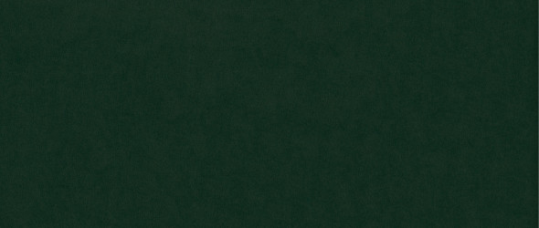 BETTSO Wygodny fotel tapicerowany PERO - zielony / R38