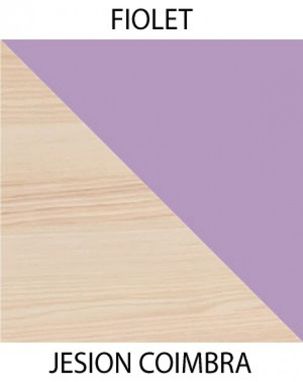 BETTSO LORENTO Biurko - Jesion coimbra / fiolet / L10