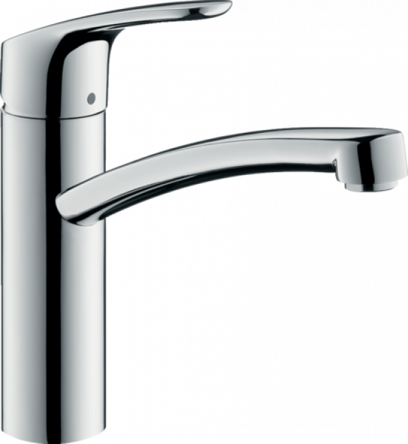 Hansgrohe Focus 31806000