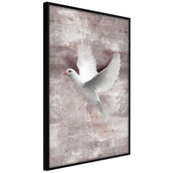 Plakat - Białe marzenia