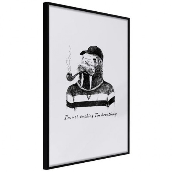 Plakat - Kapitan Mors