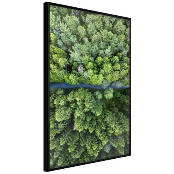 Plakat - Las z lotu ptaka