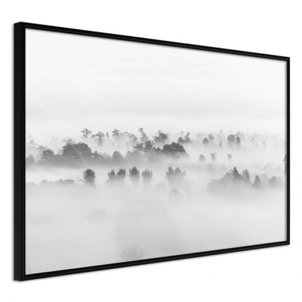 Plakat - Mgła nad lasem