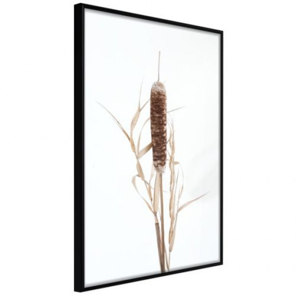 Plakat - Pałka wodna
