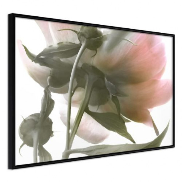 Plakat - Pod kwiatem