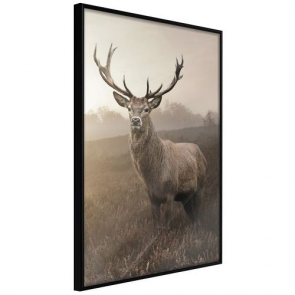 Plakat - Reprezentacja dostojności