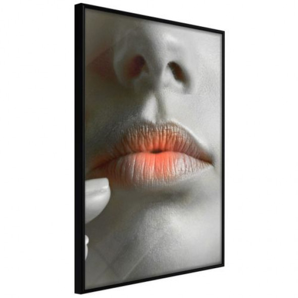Plakat - Usta ombre