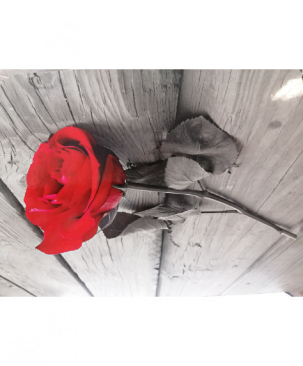 Podkładka mata stołowa/maty na stół Róża