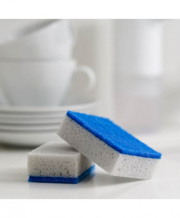 Zmywak BACTERIA STOP 10szt