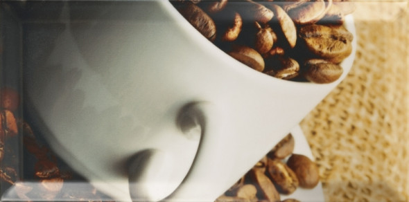 Dekoracja ścienna Paradyż Tamoe Inserto D 9,8x19,8