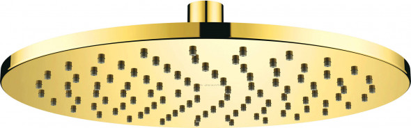 Głowica prysznicowa stalowa Deante Cascada - 250 mm NAC_Z00K