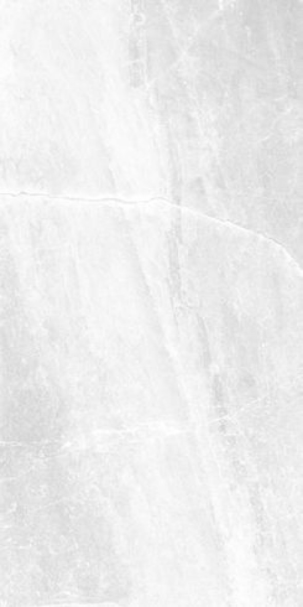 Płytka naturalna rekt. Nowa Gala Tioga 59,7 x 119,7 cm biały TG 01