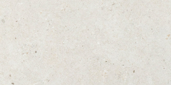 Płytka podłogowa Italgraniti Silver Grain White 60×120 cm SI01BA