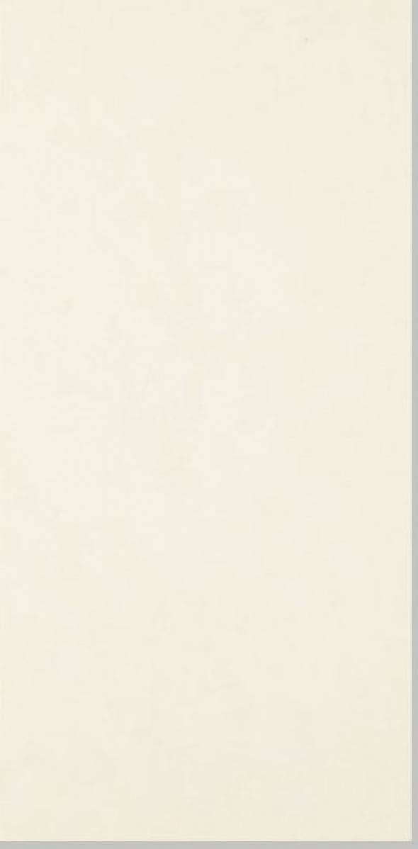 Płytka podłogowa naturalna Nowa Gala 29,7x59,7 Concept 99 Super biały