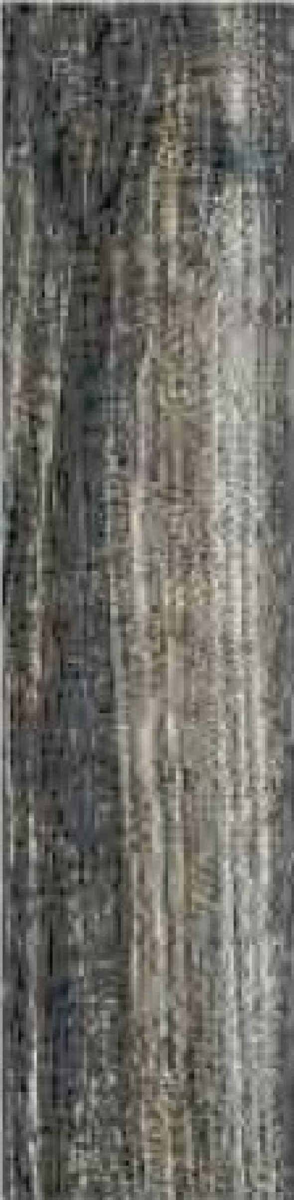 Płytka podłogowa Novabell Time Design Pepper 22,1x89,6cm TMG92RT