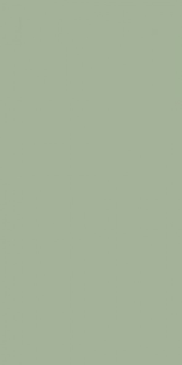 Płytka ścienna Paradyż Feelings Green Ściana Rekt. 29.8 x 59.8 cm S-R-298X598-1-FEES.GN