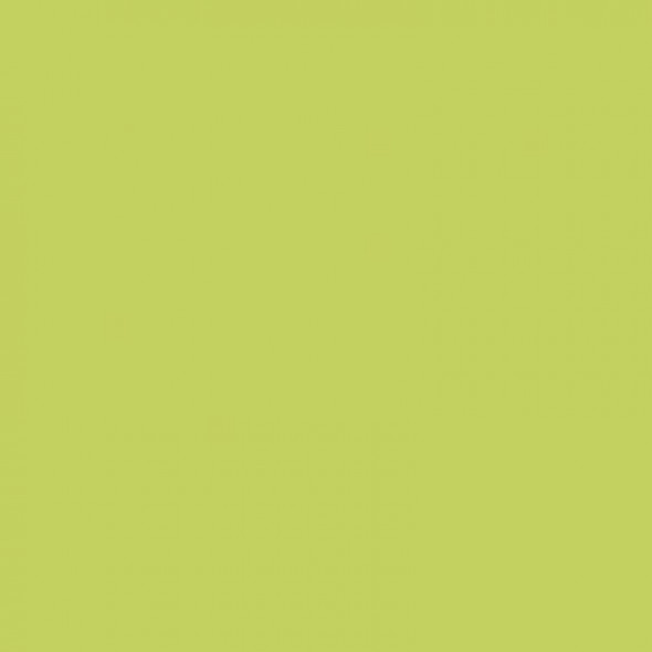 Płytka ścienna Paradyż Gamma Seledynowa mat. 19,8X19,8cm S---198X198-1-GAMA.SE---M