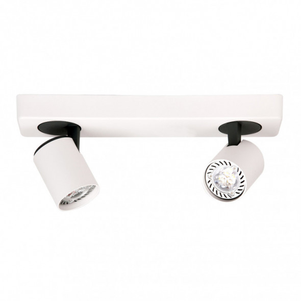 Italux Elvira SPL-3142A-2-WH Lampa sufitowa Plafon industrialny Spot 2x25W biały czarny piaskowany
