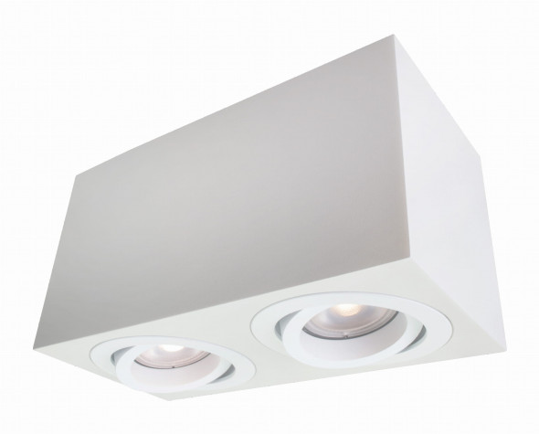 Light Prestige Lyon 2 5881/2SM WH Lampa sufitowa Oprawa natynkowa nowoczesna 2x50W biała