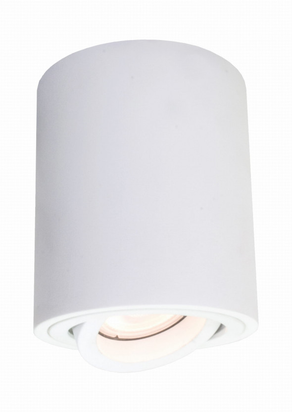 Light Prestige Tulon 5441/1SM WH Lampa sufitowa Tuba Oprawa natynkowa 1x50W biała