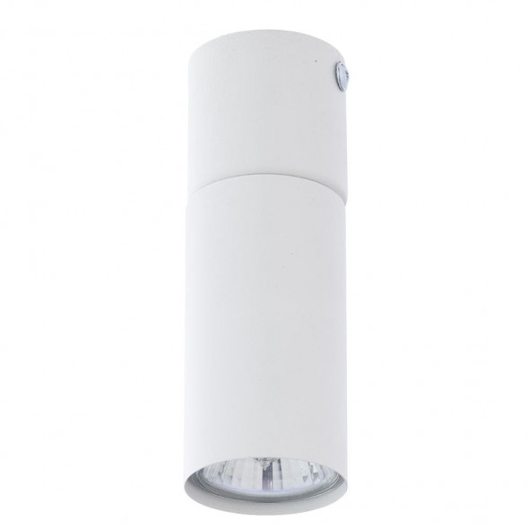 TK Lighting 4421 Logan White 1x10W Spot sufitowy biały