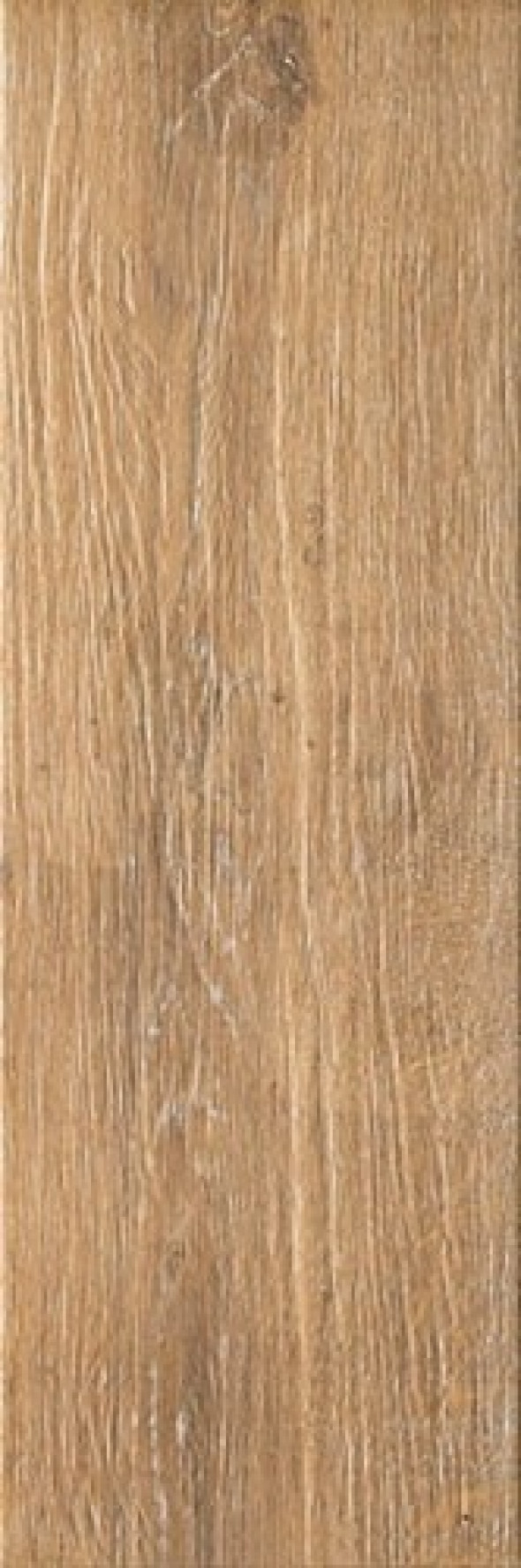 Ceramika Gres Alberon ALR 05 20 x 60 cm, natura g.1