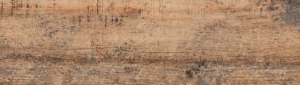 Cerrad Celtis Honey 17,5 x 60 G.1