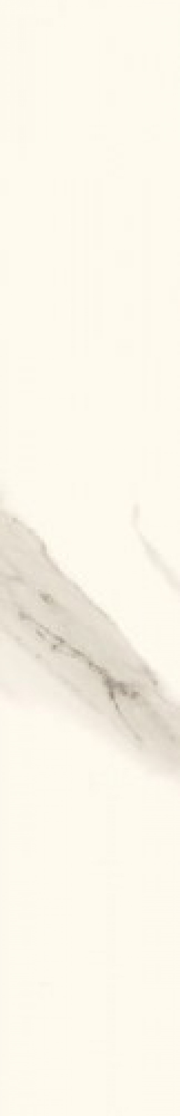 Paradyż Calacatta Calacatta Cokół Mat 9.8 x 59.8 cm G.1