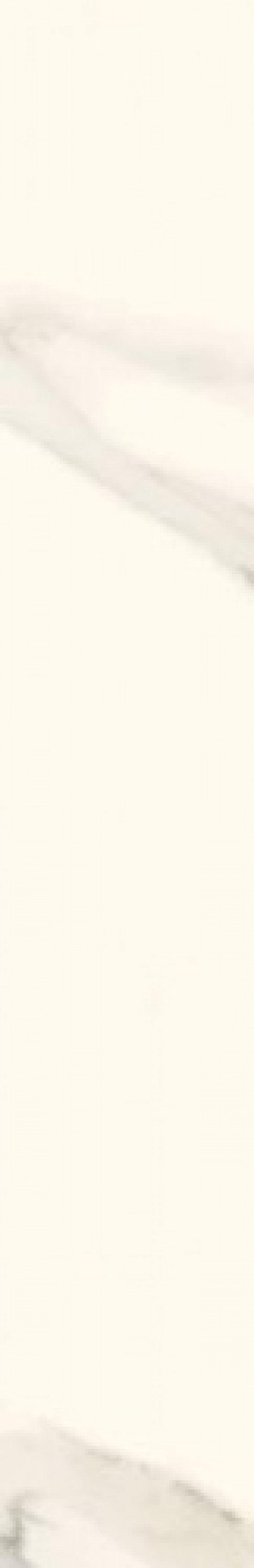 Paradyż Calacatta Calacatta Cokół Pol 9.8 x 59.8 cm G.1