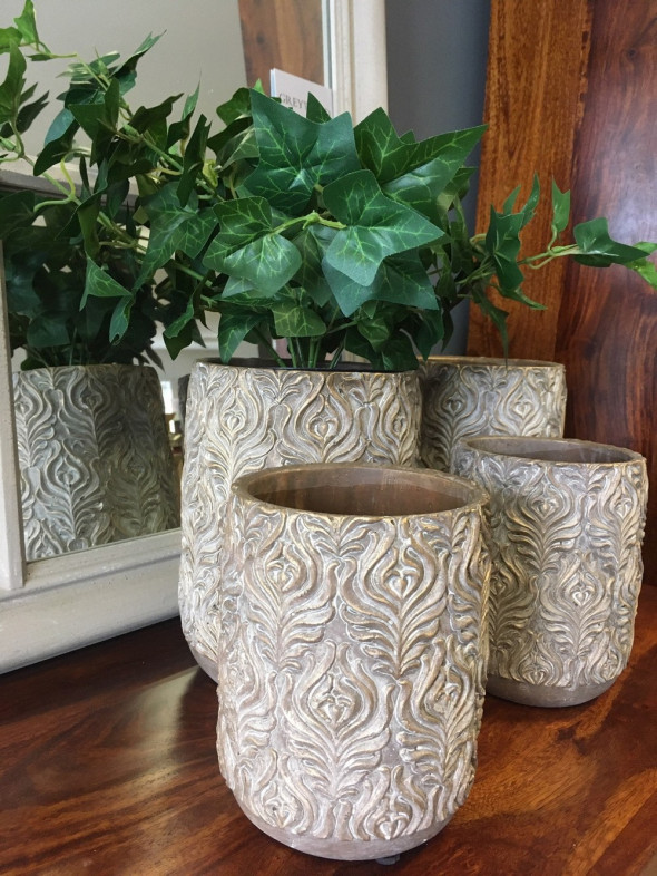 Osłonka złocona pękata średnia - Kolekcja Greywood