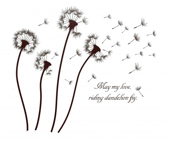 Naklejka na ścianę Dmuchawce WS-0235