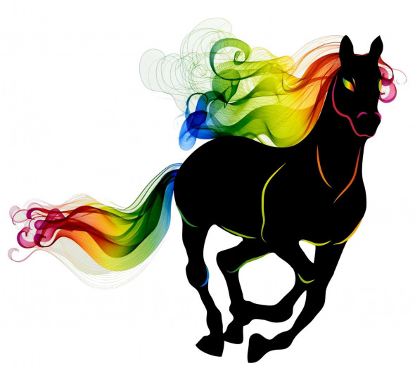 Naklejka na ścianę Koń WS-0168