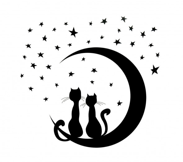 Naklejka na ścianę Księżyc Kotki WS-0248