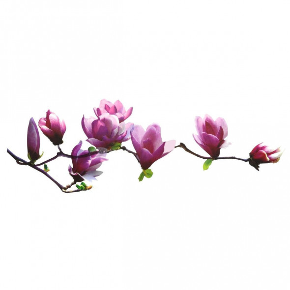 Naklejka na ścianę Magnolia WS-0015