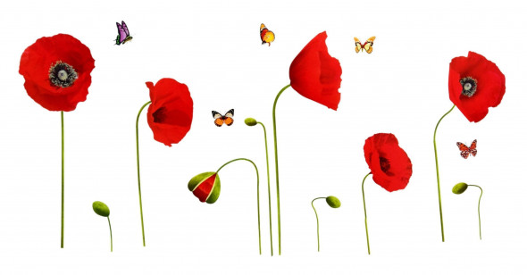 Naklejka na ścianę Maki WS-0112