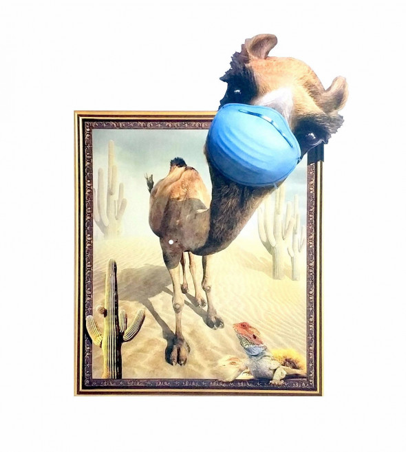 Naklejka na ścianę Obraz Wielbłąd WS-0308