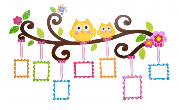 Naklejka na ścianę SÓWKI ZDJĘCIA WS-0119