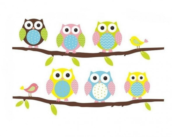 Naklejka na ścianę Sowy Sówki WS-0213