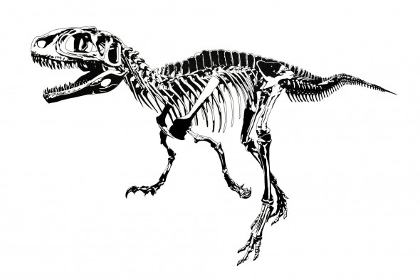 Naklejka na ścianę T-Rex WS-0244