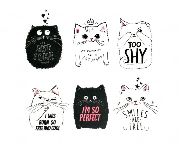 Naklejki na ścianę Koty WS-0310